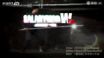 国产粗暴双龙hs视频在线观看,视频揭秘，在线观看，感受粗暴双龙魅力