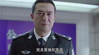 卧底警花电视剧国产版在线观看,国产悬疑剧在线观看，揭秘卧底女警的惊险人生