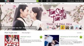 国产迷妹网在线播放网站,在线追星新天地，迷妹们的专属乐园